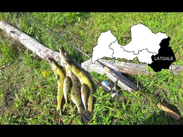 ЛАТГАЛЬСКАЯ РЫБАЛКА! Край голубых озер, больших щук и прекрасного отдыха! РЫБАЛКА В ЛАТВИИ