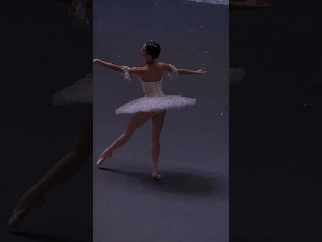 Елизавета Кокорева ️ Танец феи Драже Dance of the Sugar Plum  #ballet #nutcracker #балет #щелкунчик