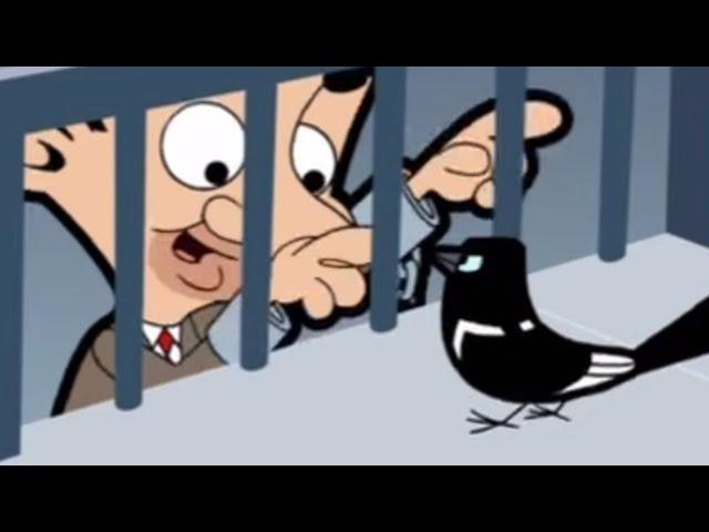 Magpie | Full Episode | Mr. Bean Official Cartoon