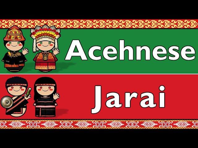 CHAMIC: ACEHNESE & JARAI