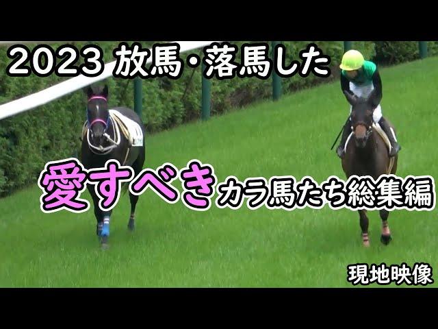 【競馬】2023 放馬・落馬した愛すべきカラ馬たち総集編 現地映像