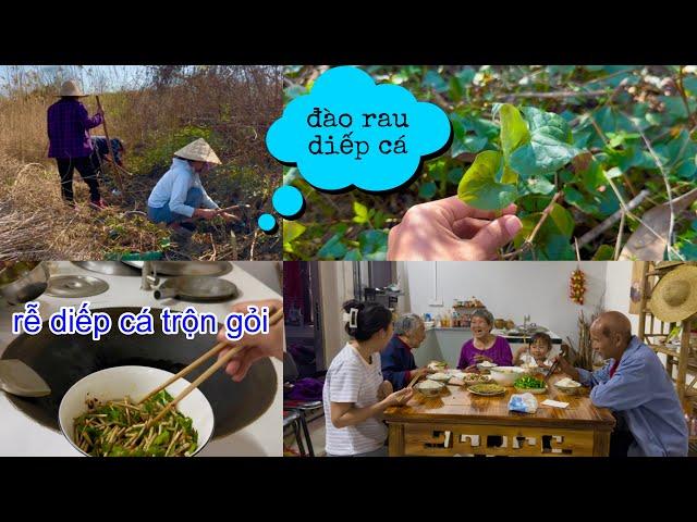 [853]Mùa Này Ở Nông Thôn Trung Quốc Rau Củ Mọc Dại Bao La.