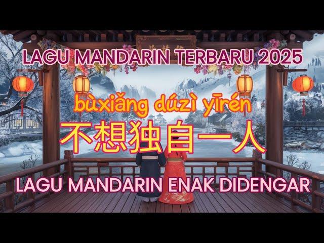 Buxiang Duzi Yiren 不想独自一人 | Lagu Mandarin Terbaru 2025 | Lagu Mandarin Enak Didengar