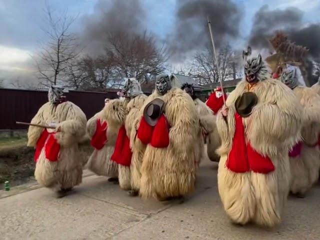 Datini, obiceiuri și traditii  de Anul Nou #comănești #traditii #joculursului #tradition #capra