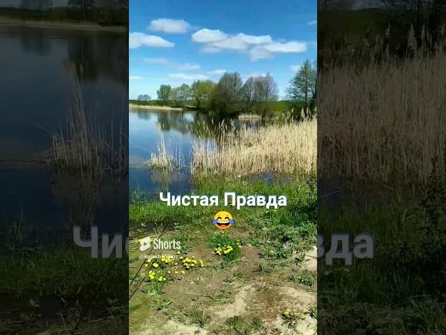 Почему мужики любят рыбалку  Лучшая правда #fishing  #shorts