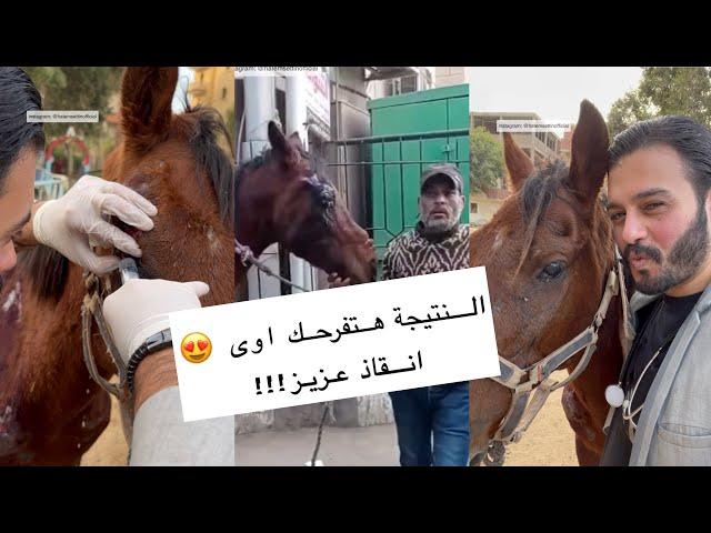 بعد انقاذه النتيجة هتفرحك اوى الحصان عزيز 