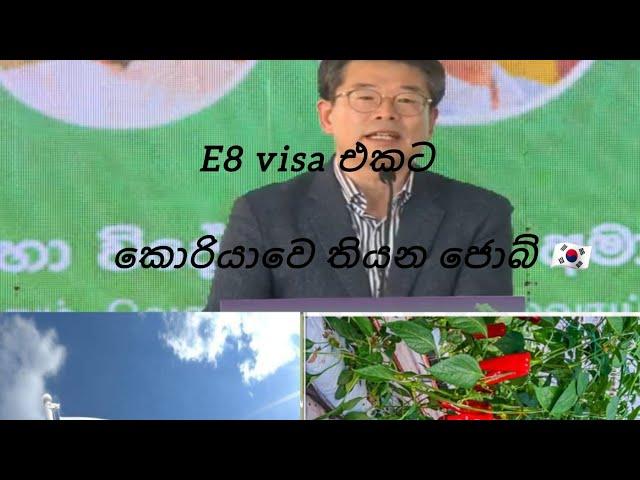  e8 visa ගැන ලංකාවෙ කරපු කොරියානු දේශනය ...