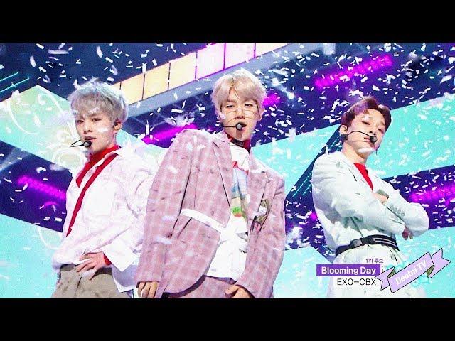 첸백시(EXO-CBX) - '花요일 (Blooming Day)' All Stage mix 교차편집