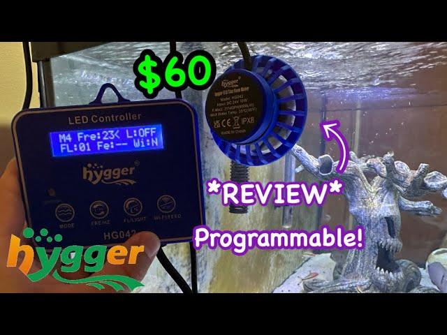 The BEST $60 Programmable Wave Maker for your Fish Tank! Hygger 042 Review