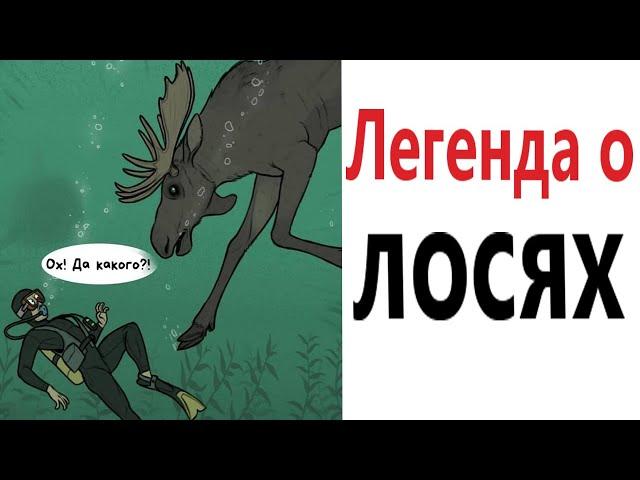 Приколы! Мемы! ЛЕГЕНДА О ЛОСЯХ! Смешные видео от Доми шоу!