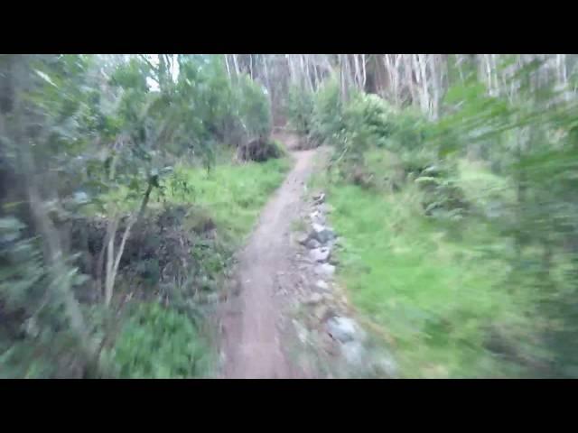 Colonial Knob MTB Park, Porirua New Zealand.