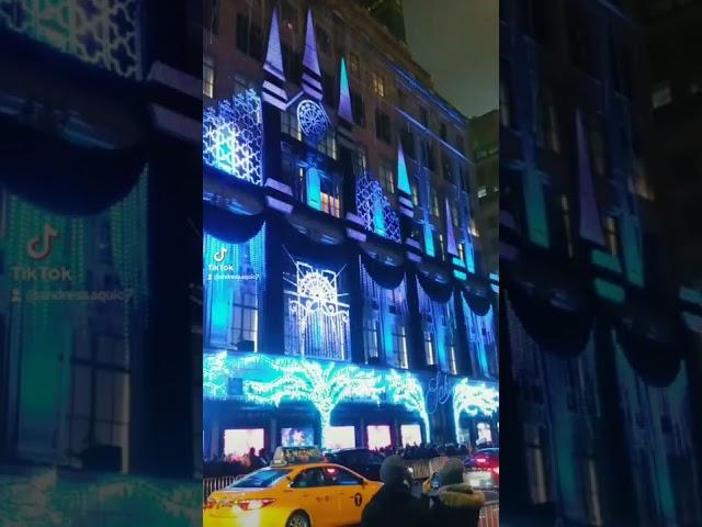 Beautiful Christmas light show.
