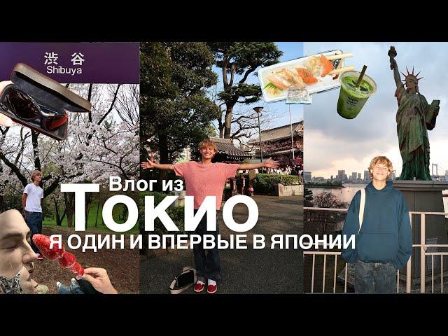 Токио: ИДЕАЛЬНАЯ поездка в ЯПОНИЮ. Цветение сакуры, лучшие места, 27 страна