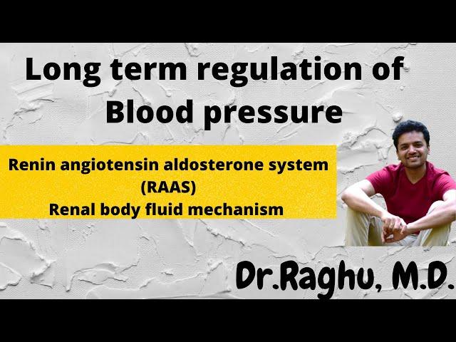 Long term regulation of blood pressure | Renin angiotensin aldosterone system