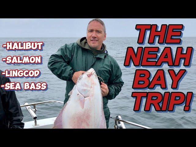 The Neah Bay trip!..#halibut #salmon #lingcod #seabass #fishing #deepseafishing #kingsalmon