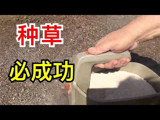 种草 草坪种植养护技术! House屋主的必备技能! 家庭小面积草坪拯救方案 /草坪維護,濃密草坪三星期搞定!