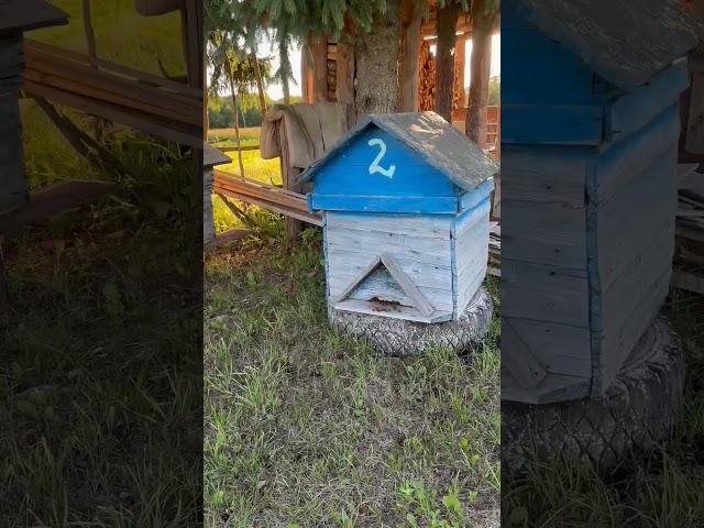 Хочу в деревню