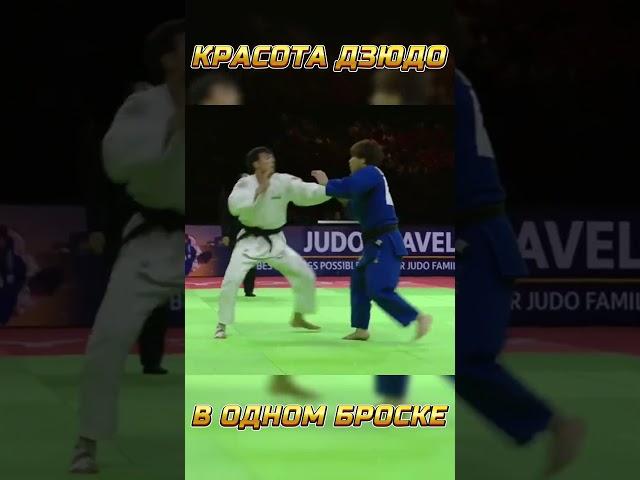 Красота дзюдо в одном броске