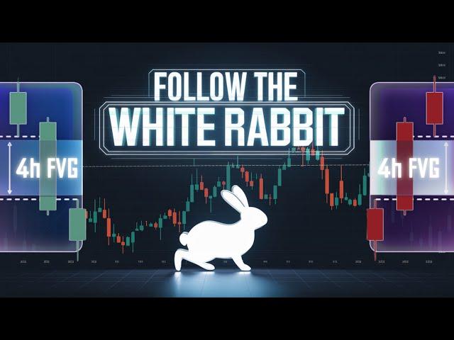 الأرنب الأبيض يخفي أسرار السوق - Follow the White Rabbit