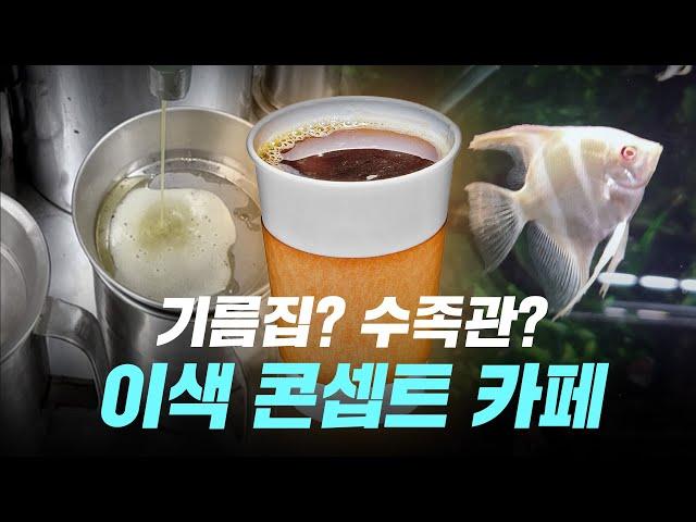 수족관부터 기름집까지⋯콘셉트에 진심인 춘천 카페