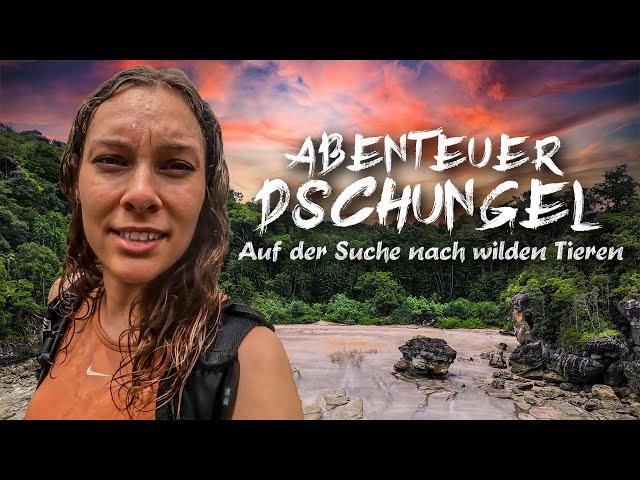 Auf der Suche nach wilden Tieren  Der Tag VOR unserer Dschungel-Tour! Expedition Borneo