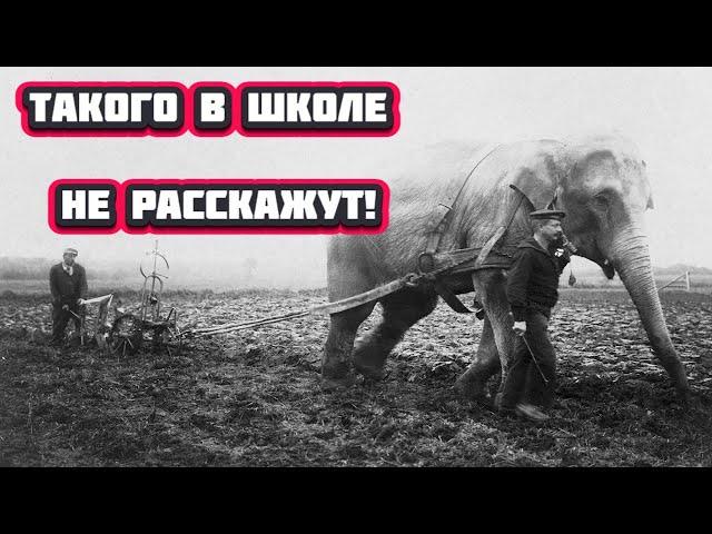 Страшная, но забытая трагедия в Российской истории.