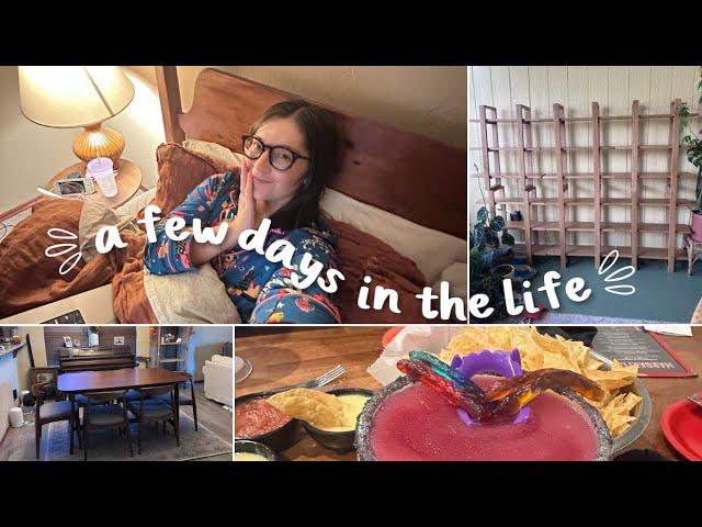 VLOG | my finished bed, fall clothes, and a plant room sneak peek