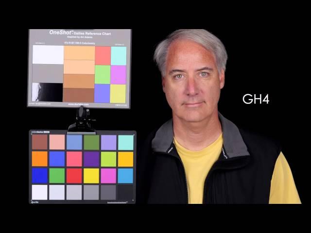 Color Match Panasonic GH4 and Sony a7S