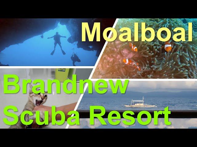 Moalboal, Brandnew Scuba Resort (2022.12)