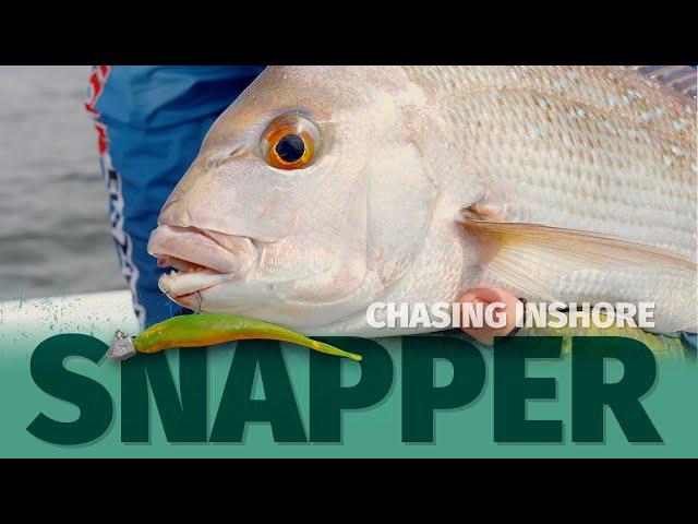 How to Catch Snapper on Soft Plastics - Inshore Snapper Fishing with ZMan Jerk Bait Plastics