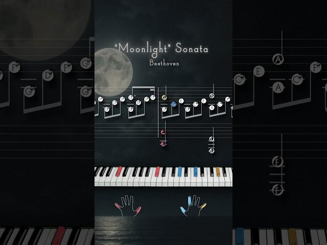 "Moonlight Sonata" by Beethoven