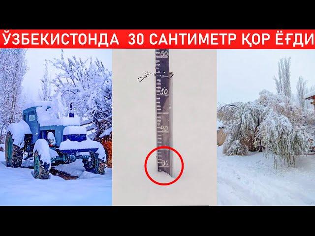 ЎЗБЕКИСТОНДА  30 САНТИМЕТР ҚОР ЁҒДИ ҚИШ КЕЛДИ