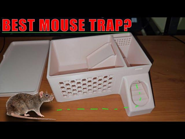 Best Mouse Trap? Multi-catch live