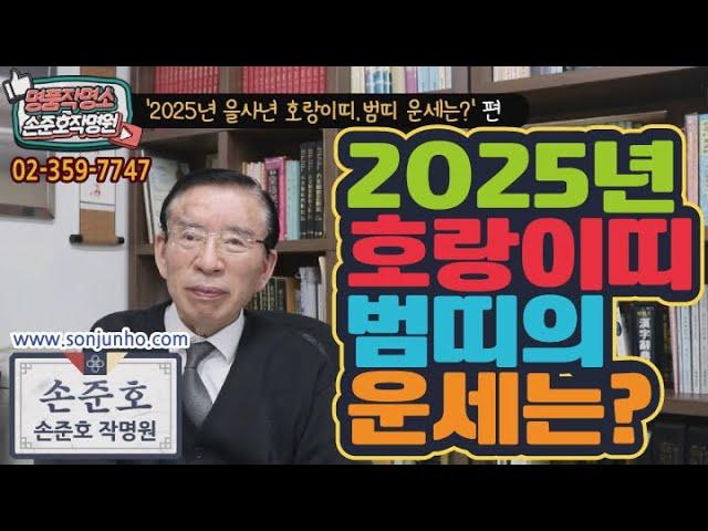 2025년 새해 을사년 호랑이띠 범띠  운세 및 재운? 50년생, 62년생, 74년생, 86년생, 98년생 호랑이띠생 범띠생  신수  [명품작명 TV] #운세 #호랑이띠 #범띠