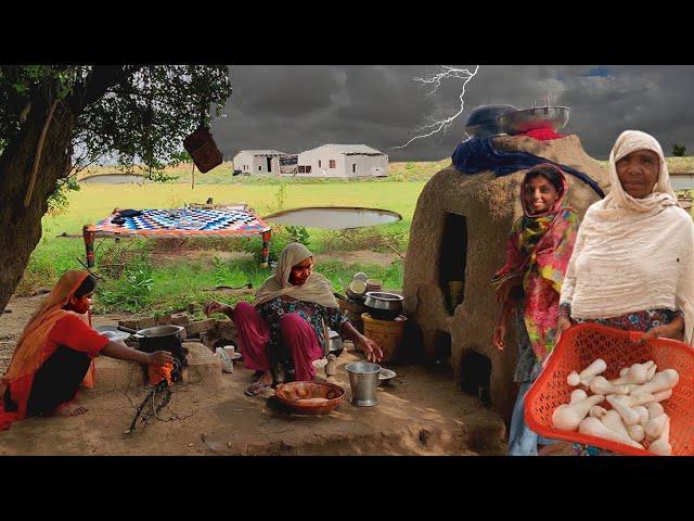 During Rain harvest and cooked Mushrooms by Punjab Desert Village women in Mud house | Rural Life