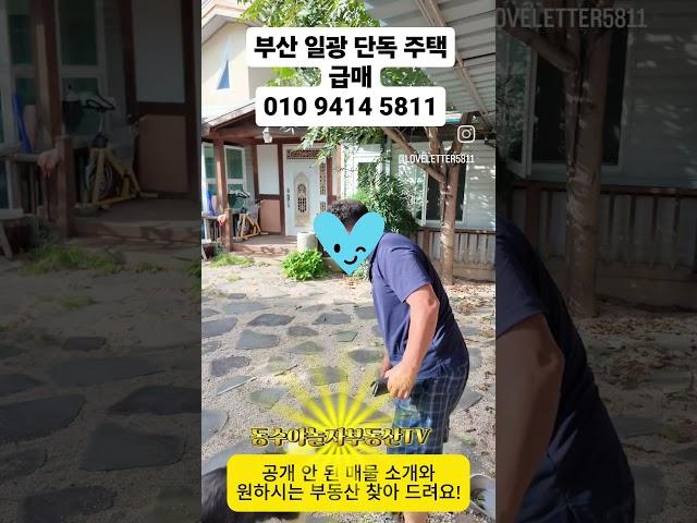 급매, 부산 일광 공기 좋은 단독 주택 매매, 개발 호재가 있는 지역,  #건물매매 #부동산투자 #부동산#전원주택매매  #부산주택매매#부산단독주택매매#단독주택매매#토지매 #빌딩매매