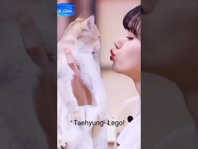 Lego loves daddy more  taelisa funny videos #taelice #shorts