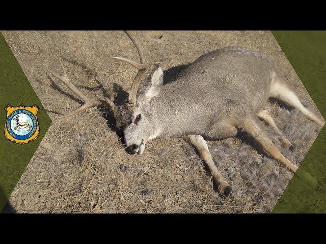 Self-Reporting Honest Hunting Mistakes