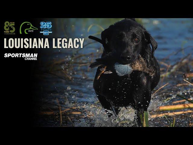 Chasing Blue-Winged Teal: Louisiana's Hunting and Conservation Legacy | DUTV Season 26, Episode 1