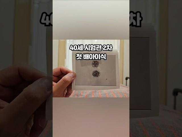 40세 시험관 2차 3일배양 동결배아이식 후