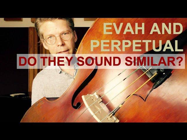 Do Pirastro's Evah Pirazzi and Perpetual Bass Strings Sound Similar?