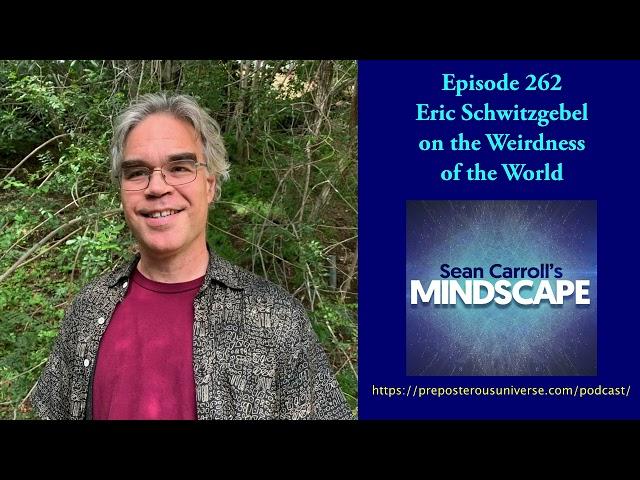 Mindscape 262 | Eric Schwitzgebel on the Weirdness of the World