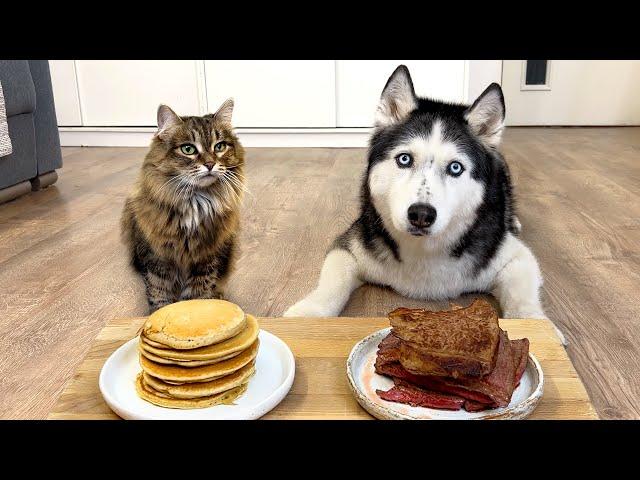 Steak or Pancake? What Will My Dogs And Cats Choose?