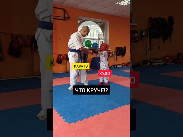 КУДО против КАРАТЭ! ЧТО КРУЧЕ?!