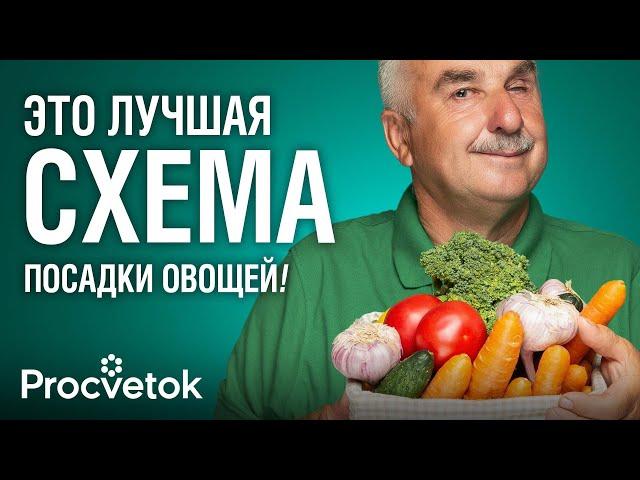 ТРИ УРОЖАЯ С ГРЯДКИ ЗА СЕЗОН! Вот как распланировать посадки для непрерывного урожая