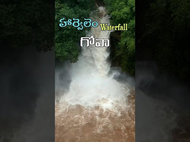 హార్వలెం Waterfall..గోవా..#telugu #telugutraveller #naaanveshana #telugutravelvlogs