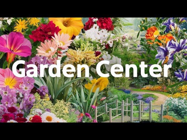 Beautifull Flowers And Plants At Garden Center | Garden Center