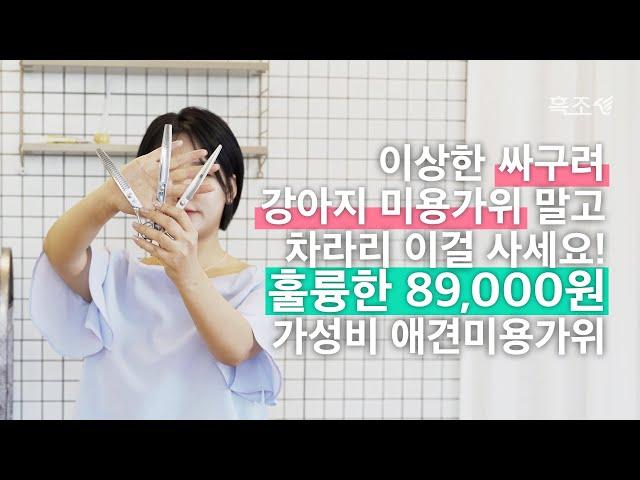 강아지 셀프미용 가위컷할 때 추천하는 애견 미용가위️
