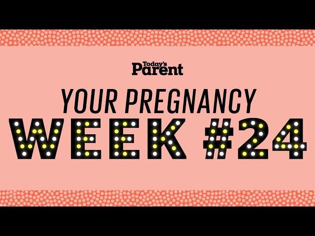 Your pregnancy: 24 weeks