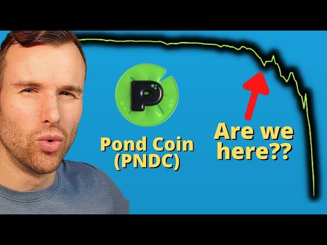 Pond Coin will crash - due to Pepe Fork ️ PNDC Crypto Token